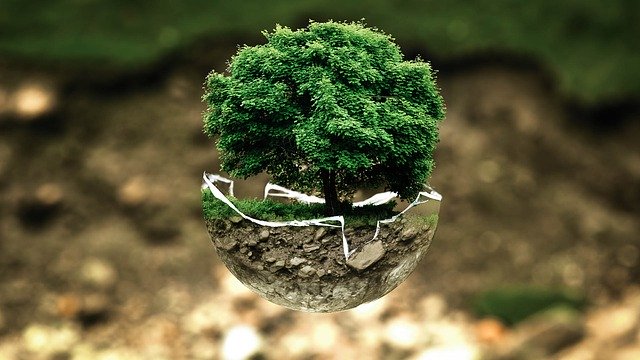 Ilustrasi lingkungan hidup/Pixabay/photoshopper