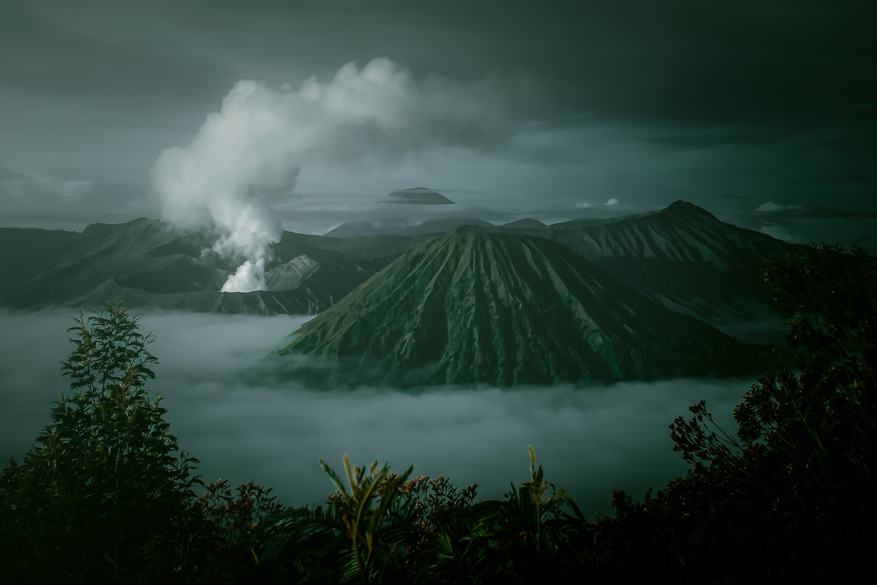 Photo by Capung Purnomo from Pexels