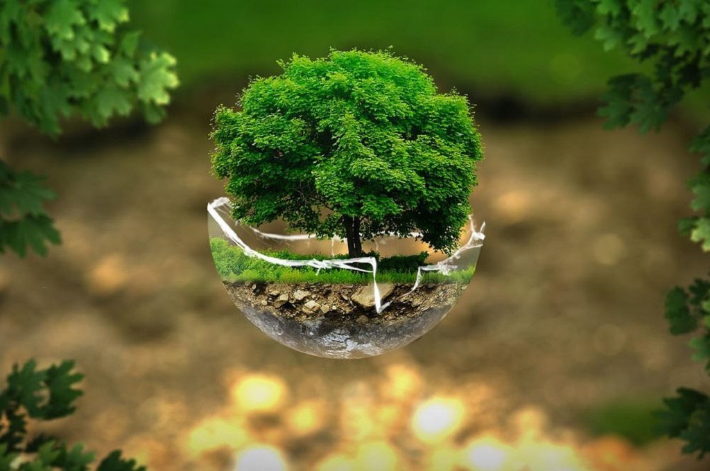 Photo by Medcom.id