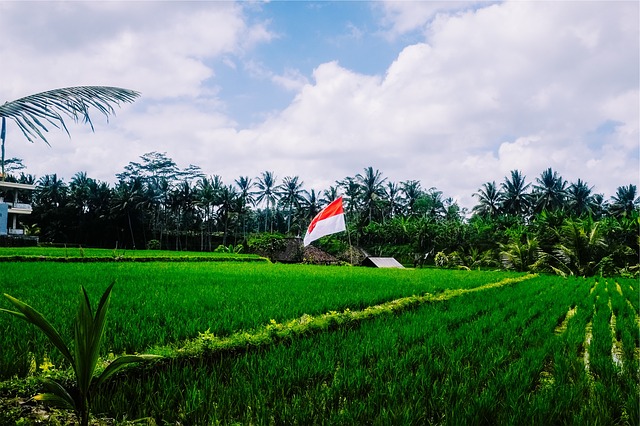 Photo by StockSnap from Pixabay