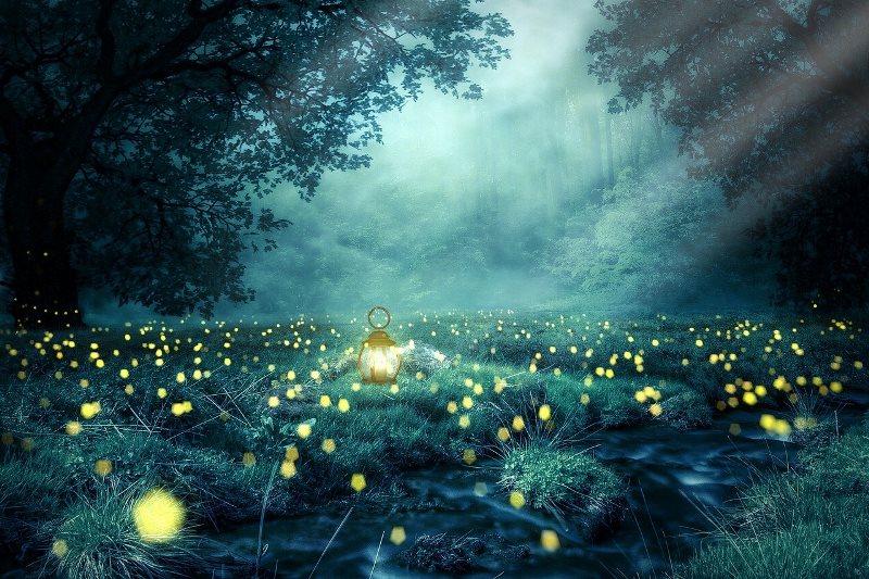 Gambar oleh Yuri_B dari Pixabay