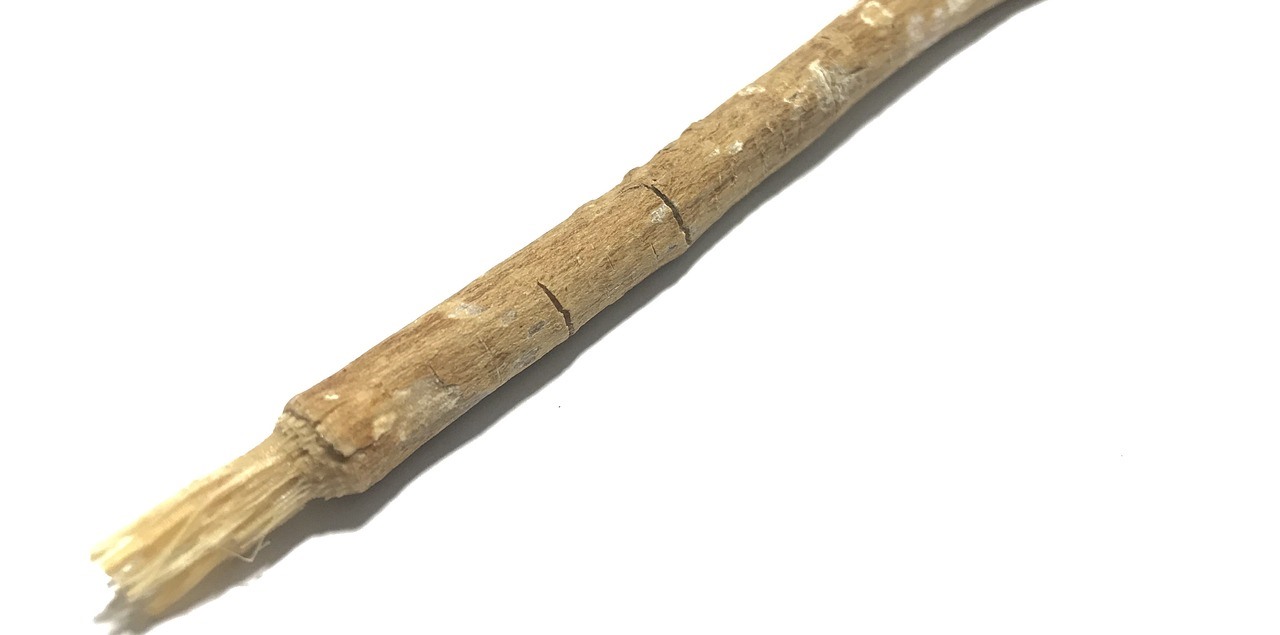 Siwak (Gambar oleh Fajar Ramadhani Al Hadis Syam dari Pixabay)