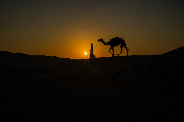 Ilustrasi. Foto Pixabay