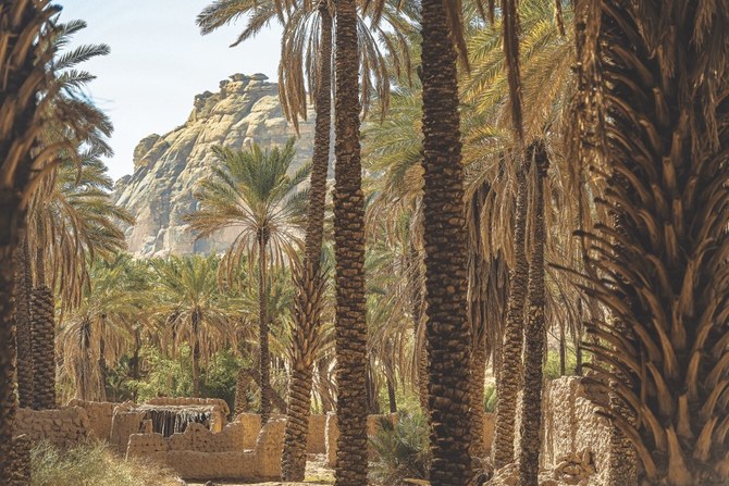 Bagaimana Arab Saudi Membangun Fondasi Tujuan Wisata Sepanjang Tahun