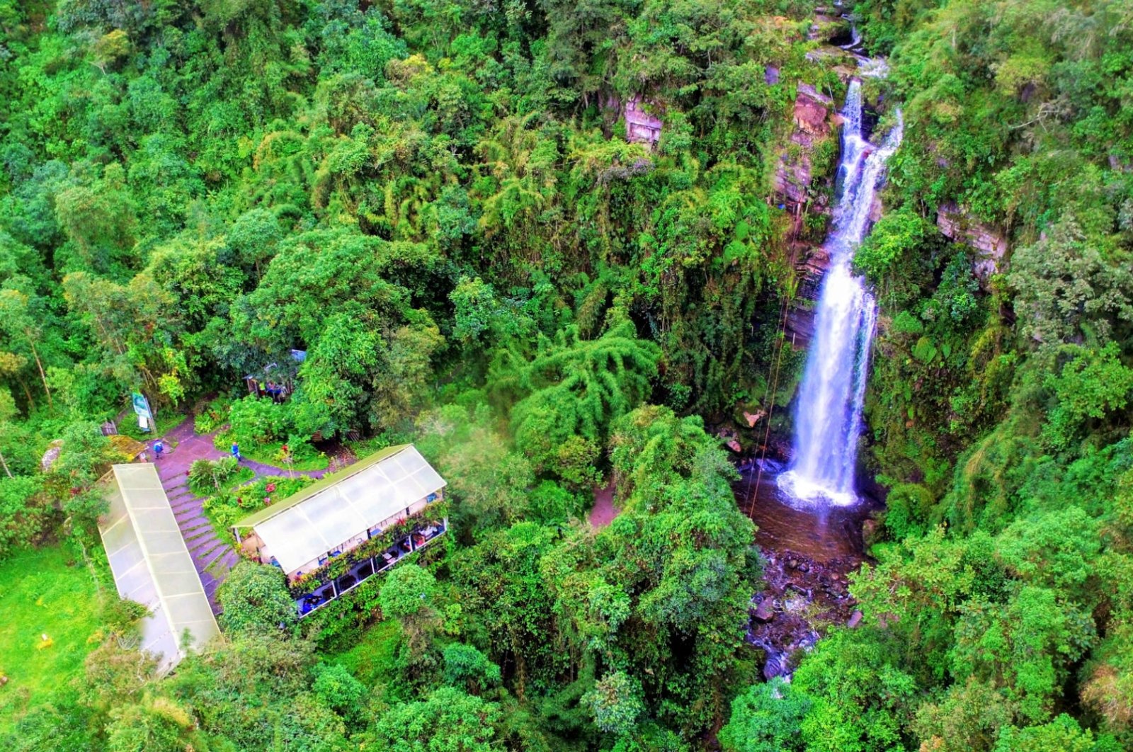 Cascada la Chorrera: Air Terjun Tertinggi di Kolombia Favorit Turis Internasional