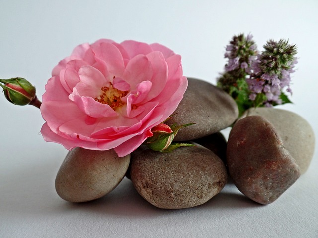 ilustrasi. Foto: Pixabay