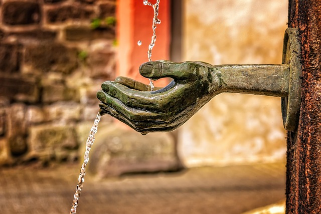 ilustrasi. Foto: Pixabay