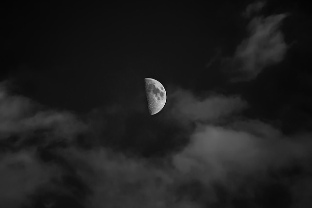ilustrasi. Foto: Pixabay