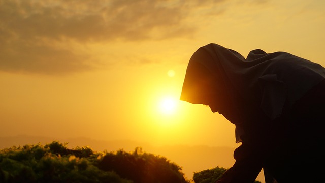 ilustrasi jilbab vs bikini. Foto: Pixabay