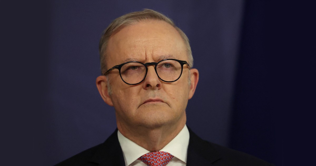 PM Albanese. Reuters