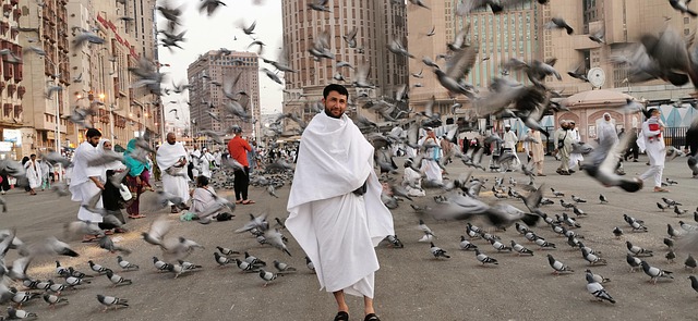 Arab Saudi Larang Pemberian Makan Merpati di Mekah dan Madinah, Pelanggar Didenda 1.000 Riyal