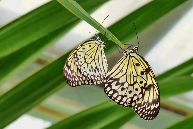 Ini Adab-adab Berhubungan Intim Suami Istri Beserta Dalilnya. Foto: Pixabay