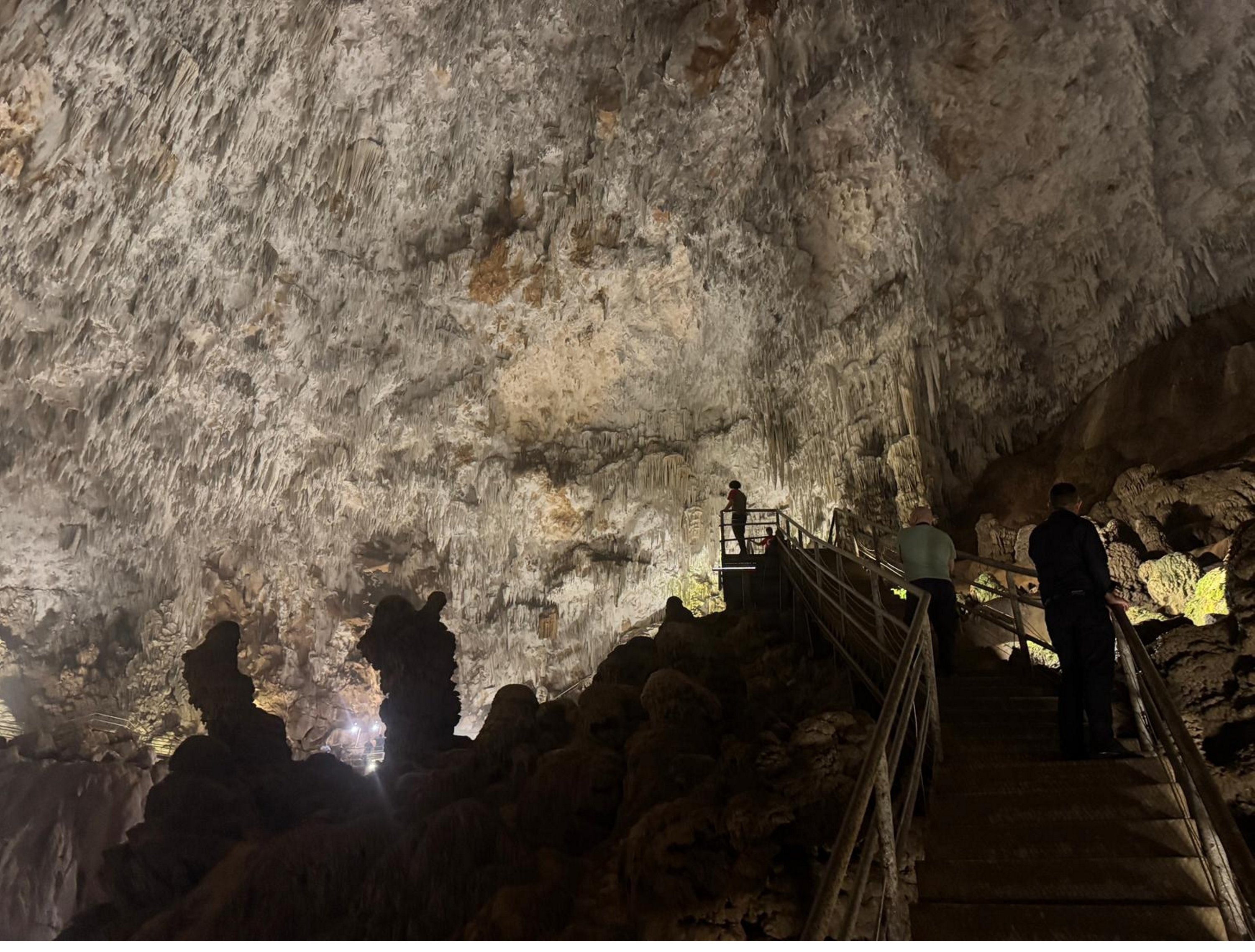 Düzce: Permata Damai di Dataran Tinggi Turki