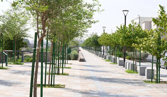 Madinah Luncurkan Green City Initiative, Target Tanam 2,1 Juta Pohon untuk Kota Lebih Sejuk dan Berkelanjutan