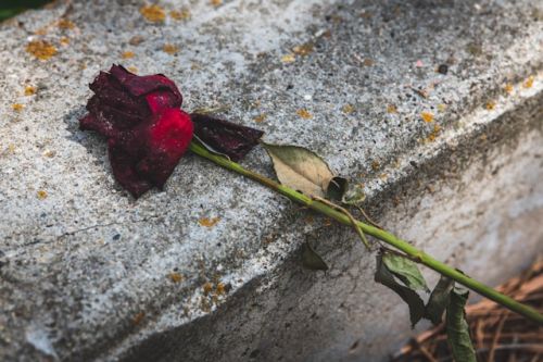 Ilustrasi. Foto: Unsplash