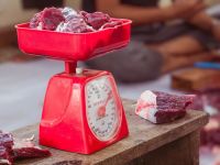 Kemenag Buka Suara Terkait Kabar Menteri Nasaruddin Melarang Warga Menyembelih Kurban