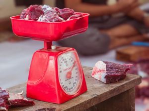 Kemenag Buka Suara Terkait Kabar Menteri Nasaruddin Melarang Warga Menyembelih Kurban